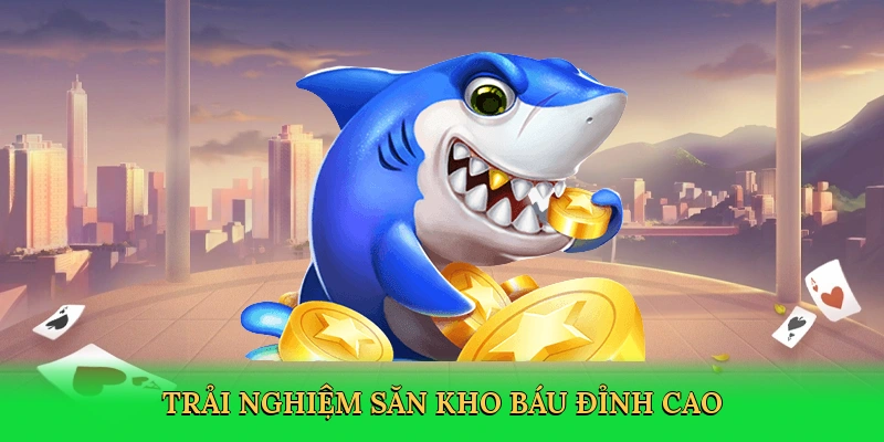 Trải nghiệm săn kho báu đỉnh cao