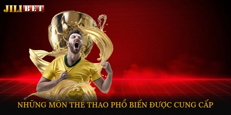 Những Môn Thể Thao Phổ Biến Được Cung Cấp Trên Các Nền Tảng Cá Cược