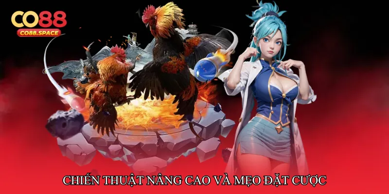 Chiến thuật nâng cao và mẹo đặt cược