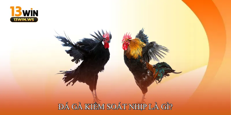 Đá Gà Kiểm Soát Nhịp Là Gì?