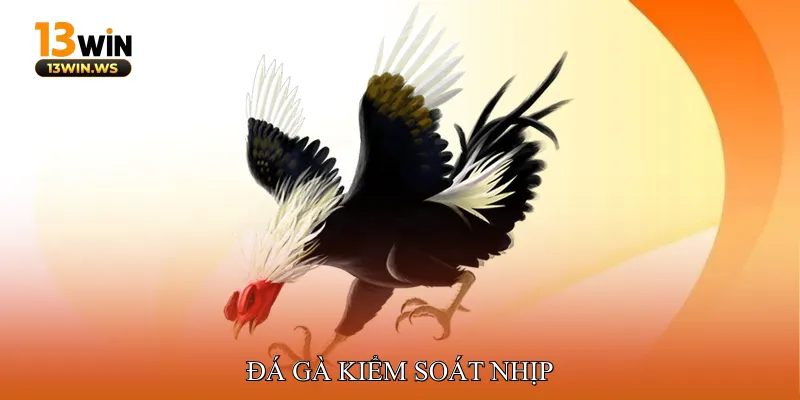 đá gà kiểm soát nhịp