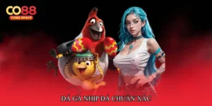 Đá gà nhịp đá chuẩn xác