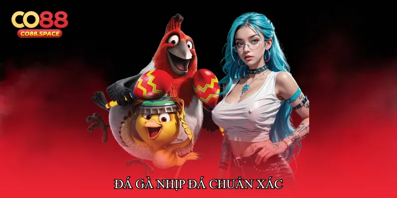 Đá gà nhịp đá chuẩn xác