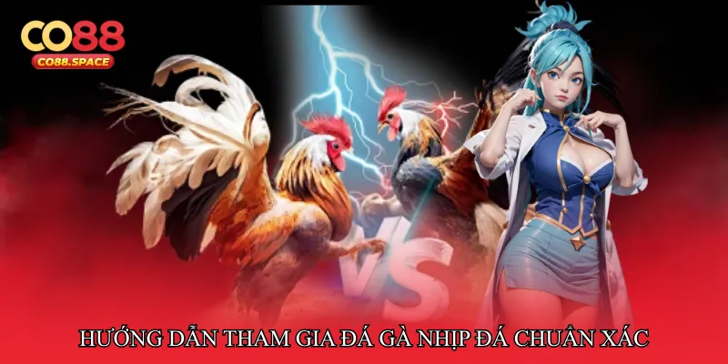 Hướng dẫn tham gia Đá gà nhịp đá chuẩn xác