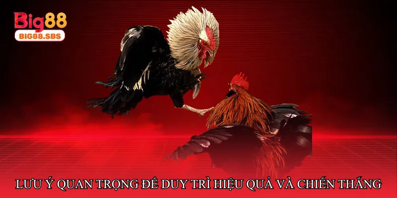 Lưu ý quan trọng để duy trì hiệu quả và chiến thắng