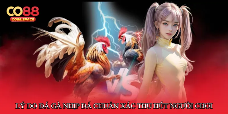 Lý do Đá gà nhịp đá chuẩn xác thu hút người chơi