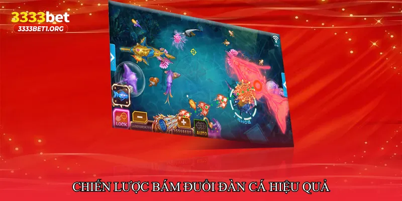 Chiến lược bám đuổi đàn cá hiệu quả