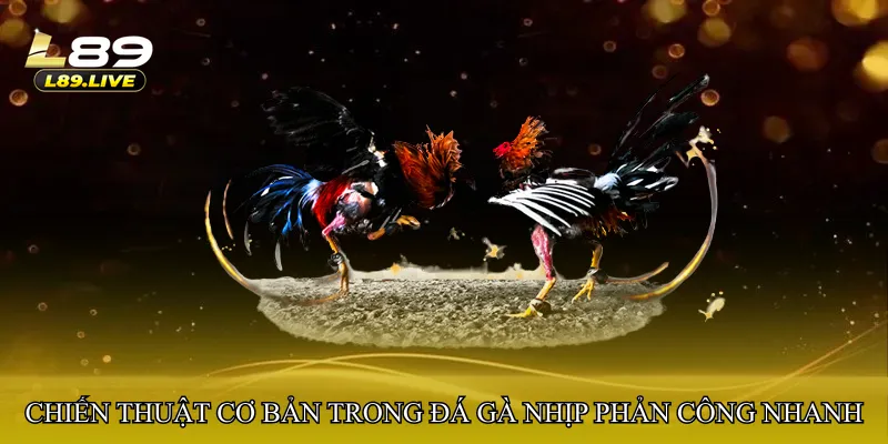 Chiến thuật cơ bản trong Đá gà nhịp phản công nhanh