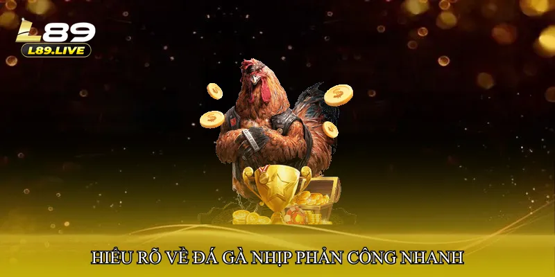 Hiểu rõ về Đá gà nhịp phản công nhanh